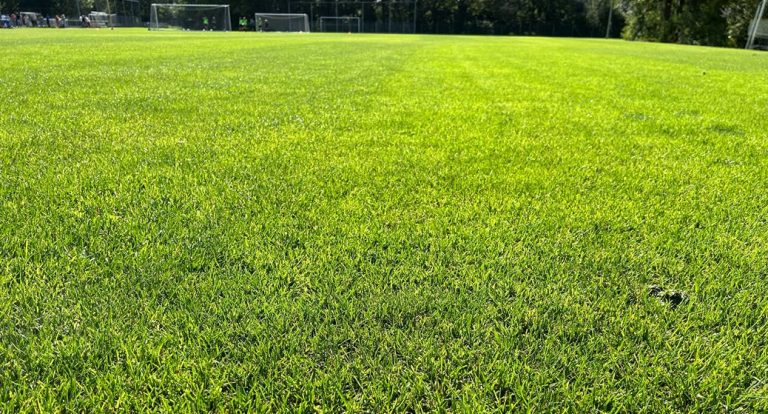 natuur gras sportveld een perfecte natuurlijke sport ondergrond